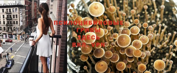 меф Арсеньев