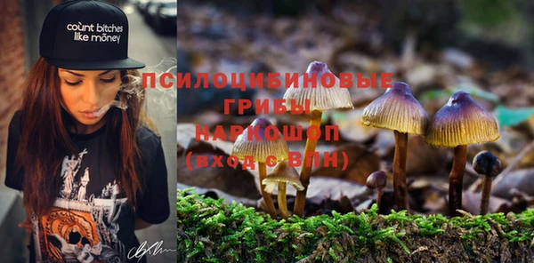 меф Арсеньев