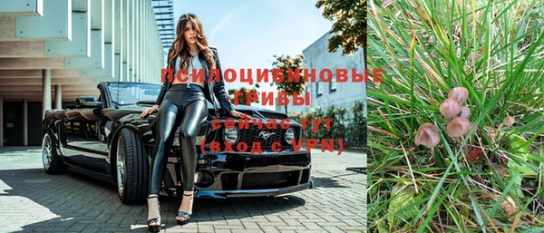 меф Арсеньев